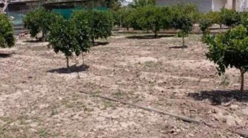 Múrcia - Murcia - 1100m2