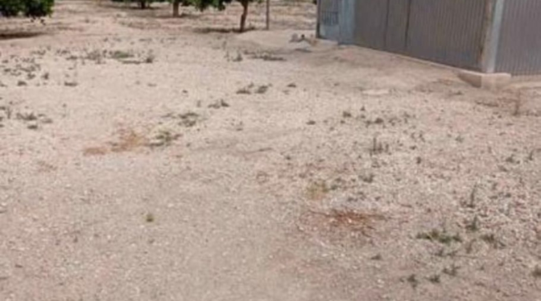 Múrcia - Murcia - 1100m2