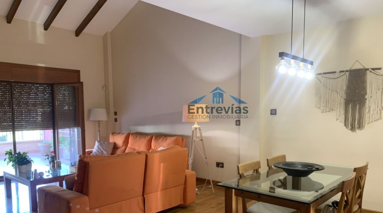 Murcia - Murcia - 236m2
