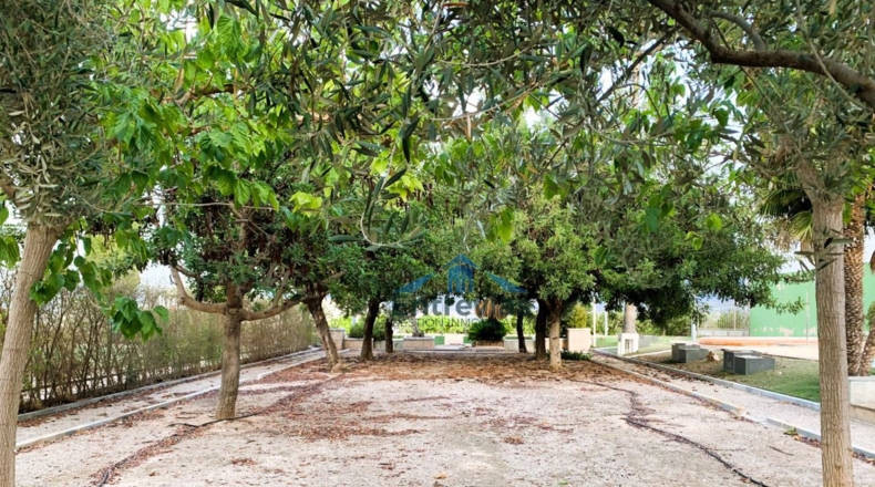 Murcia - Murcia - 6200m2
