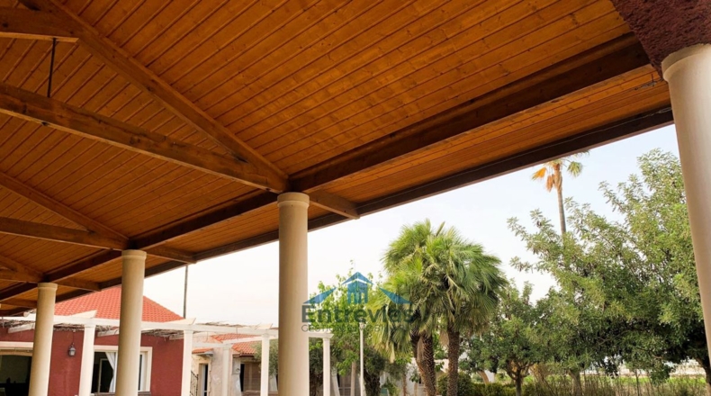 Murcia - Murcia - 6200m2