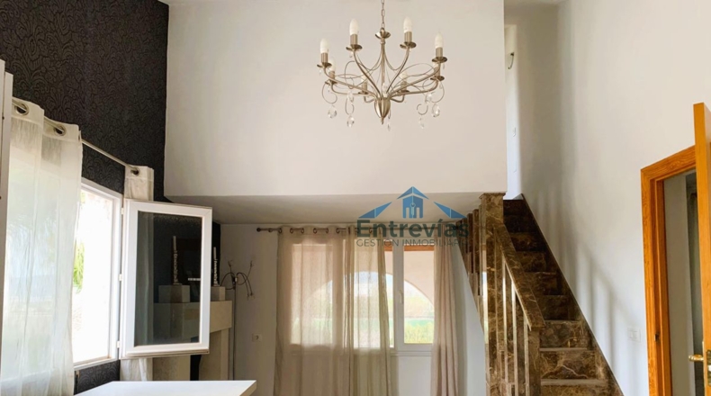 Murcia - Murcia - 6200m2