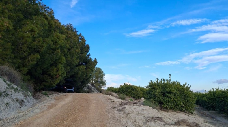 Murcia - Librilla - 15314m2