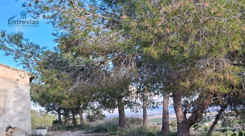 Murcia - Librilla - 15314m2