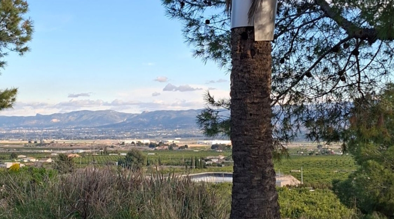 Murcia - Librilla - 15314m2