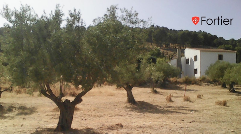 Jaén - Jaén - 465m2