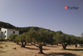 Jaén 465&nbsp;m² 
