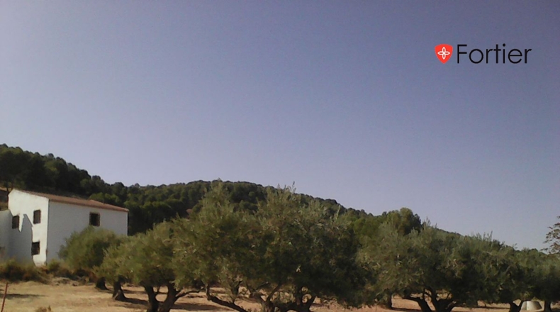 Jaén - Jaén - 465m2