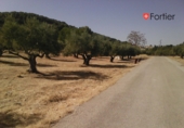 Suelo urbano en venta en Jaén ref: TR53261 foto