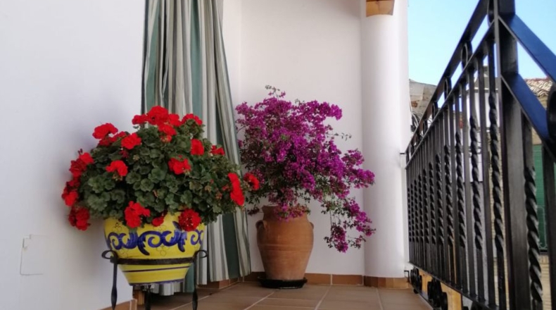 Jaén - Torredonjimeno - 165m2