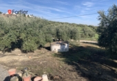 Земельный участок на продажу в городе Martos. Фото