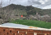 Finca rústica en venta en Fuensanta de Martos ref: TR103118 foto
