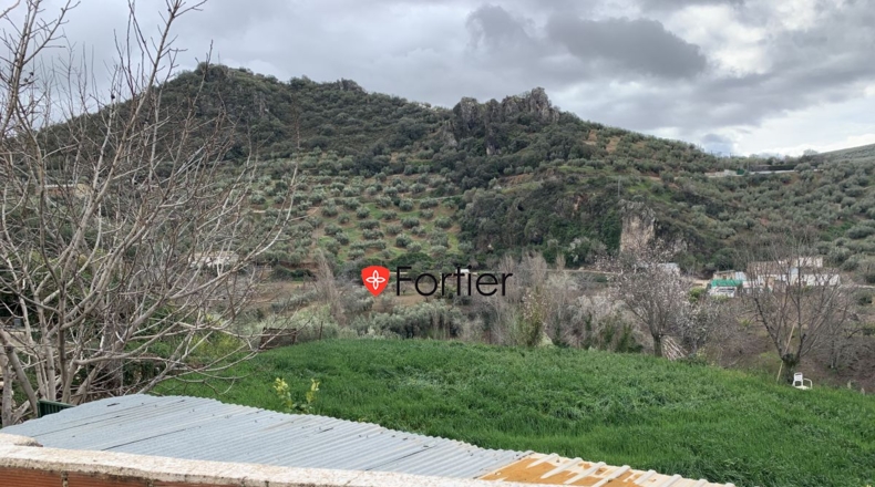 Jaén - Fuensanta de Martos - 7439m2