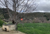 Finca rústica en venta en Fuensanta de Martos ref: TR103118 foto