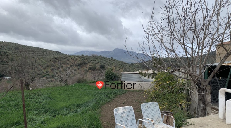 Jaén - Fuensanta de Martos - 7439m2