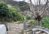 Finca rústica en venta en Fuensanta de Martos ref: TR103118 foto