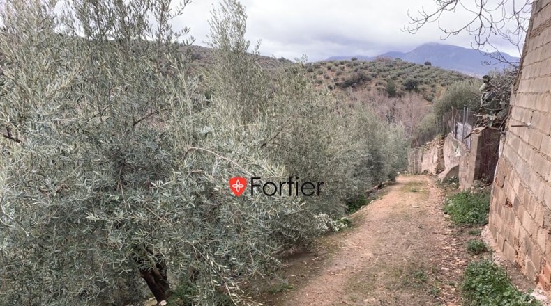 Jaén - Fuensanta de Martos - 7439m2
