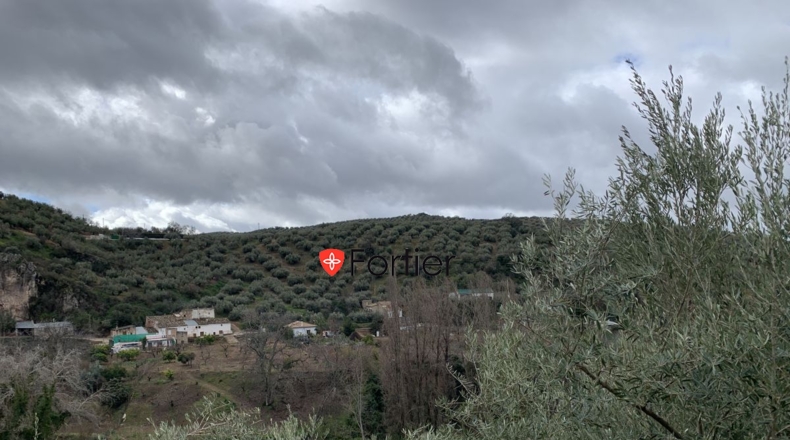 Jaén - Fuensanta de Martos - 7439m2