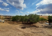 Finca rústica en venda a Tres Cantos ref.: TR61602 foto