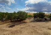Finca rústica en venda a Tres Cantos ref.: TR61602 foto