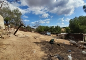 Finca rústica en venda a Tres Cantos ref.: TR61602 foto