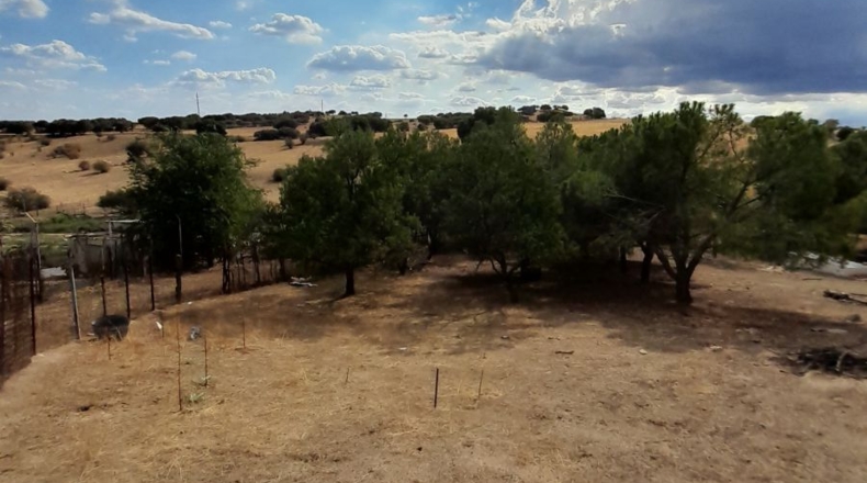 Comunidad de Madrid - Tres Cantos - 4000m2