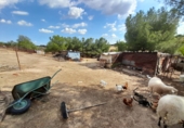 Finca rústica en venda a Tres Cantos ref.: TR61602 foto