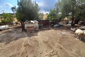 Foto 16