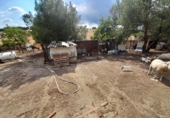 Finca rústica en venda a Tres Cantos ref.: TR61602 foto