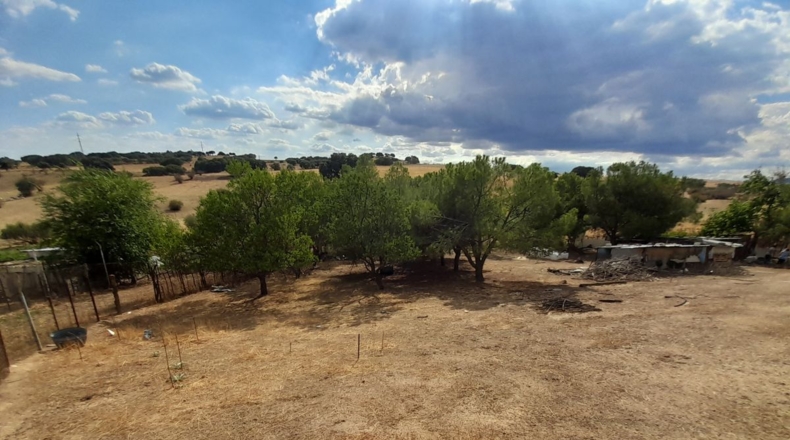 Comunidad de Madrid - Tres Cantos - 4000m2