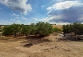 Finca rústica en venda a Tres Cantos ref.: TR61602 foto