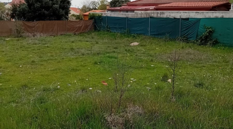 Community of Madrid - Guadalix de la Sierra - 401m2