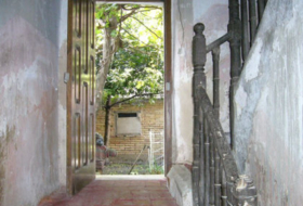 Foto 19