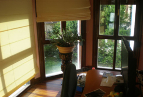 Foto 7