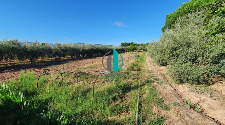 La Rioja - Villamediana de Iregua - 3046m2