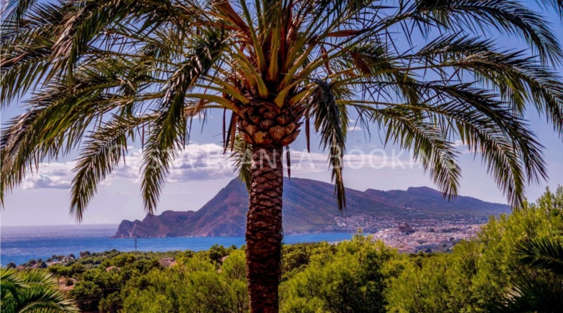 Alicante - Altea - 2700m2