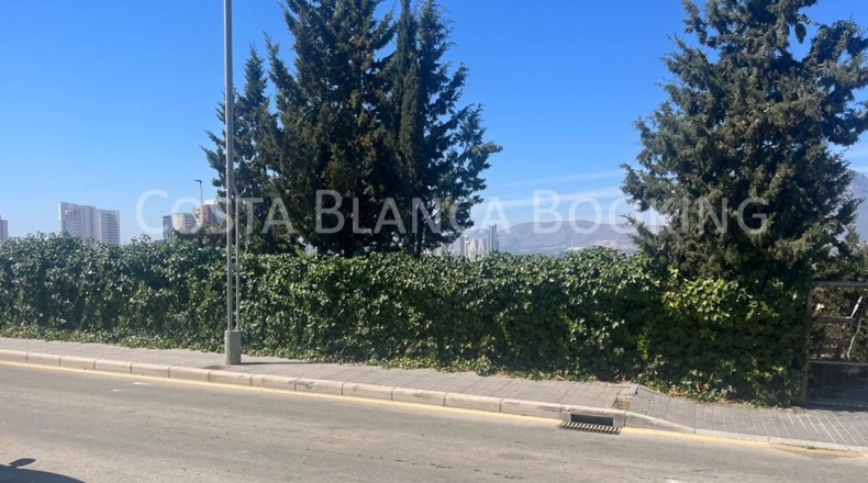 Alicante - Benidorm - 1000m2