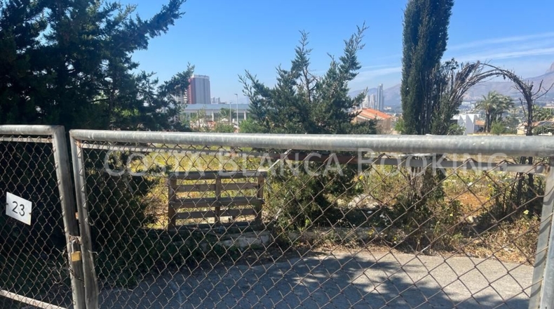 Alicante - Benidorm - 1000m2