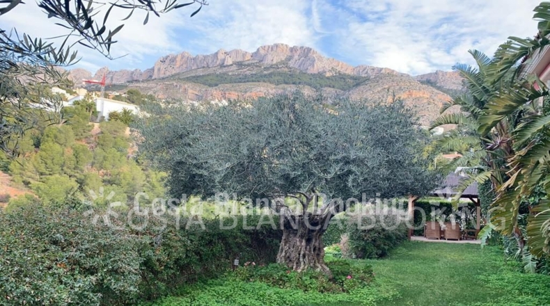 Alicante - Altea - 1300m2