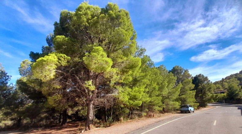 Alicante - Polop - 17444m2