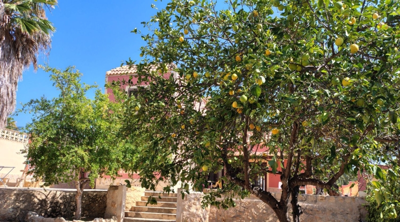 Alicante - la Nucia - 920m2