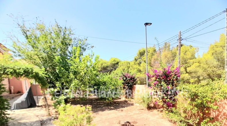 Alicante - Alfaz del Pi - 1021m2