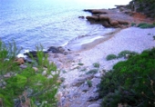 Sòl urbà en venda a Alcanar ref.: TR53195 foto