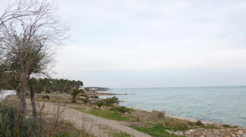 Tarragona - la Martinenca - 8000m2