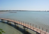Parcel·la urbanitzable en venda a Alcanar ref.: TR110815 foto