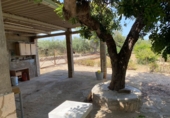 Xalet independent amb terreny en venda a Alcanar ref.: TR37521 foto