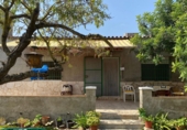 Xalet independent amb terreny en venda a Alcanar ref.: TR37521 foto