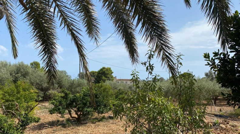 Tarragona - Alcanar - 5928m2
