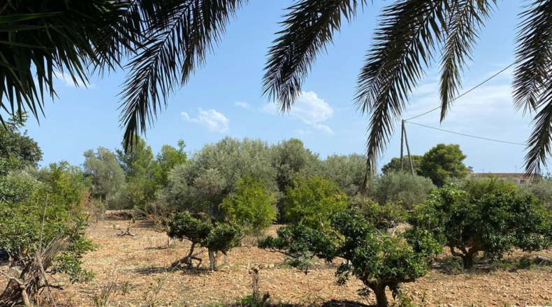 Tarragona - Alcanar - 5928m2