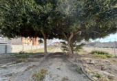 Xalet independent amb terreny en venda a Sant Jaume d'Enveja ref.: TR252351 foto
